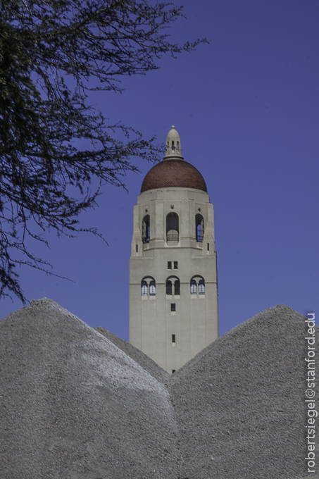 the dunes of Meyer library